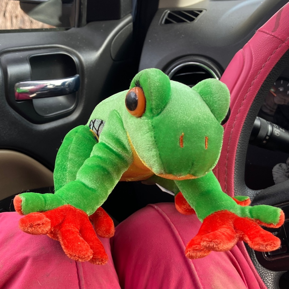 Webkins Tree frog - Picture 2 of 4